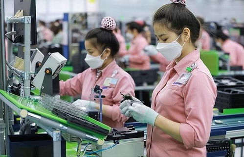 訂單驟減、裁員風暴與轉型陣痛 越南“世界工廠”夢的軟件業挑戰